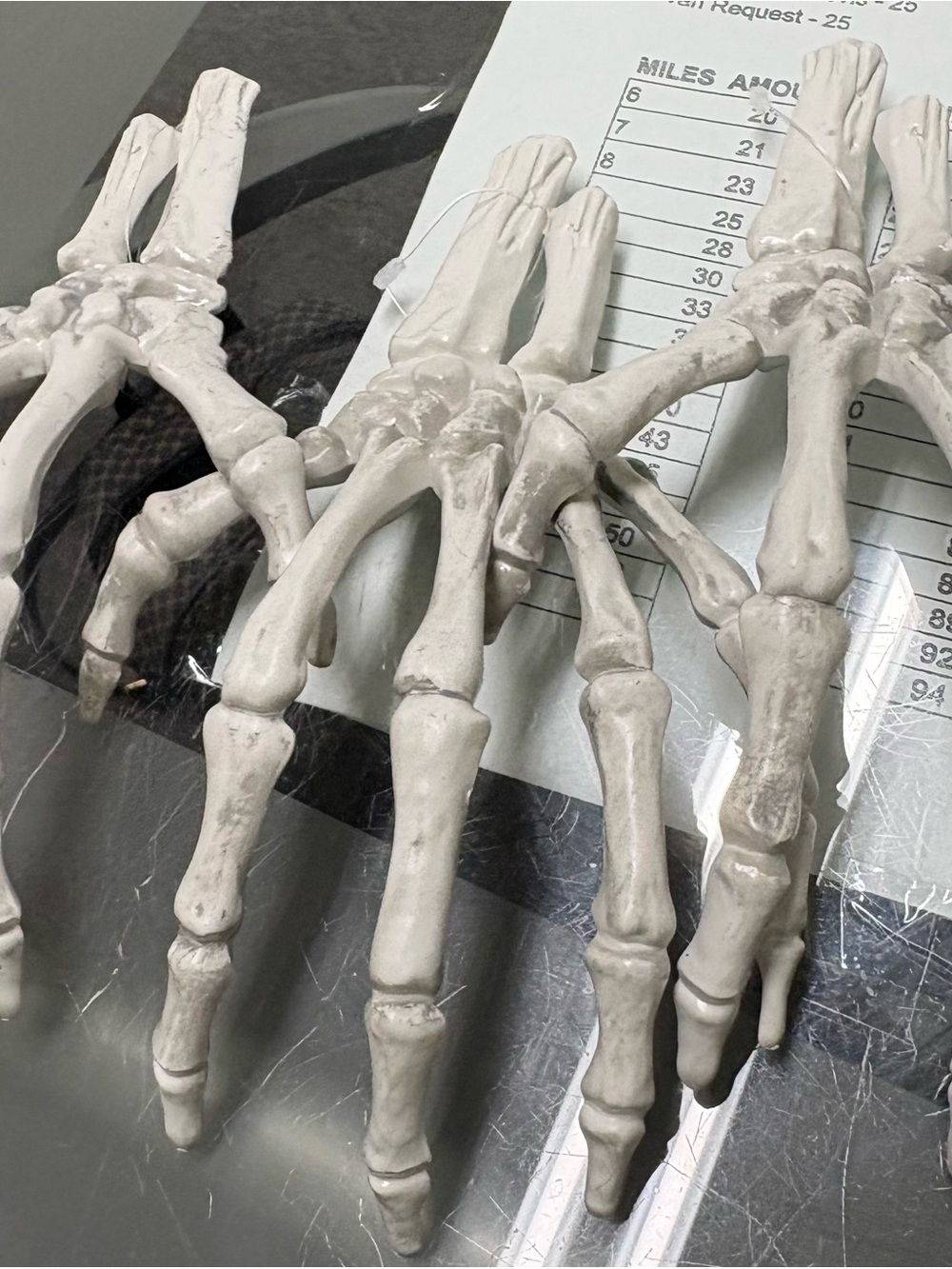 White Skeletal Hand Accent - Decorative Halloween Prop 3pc